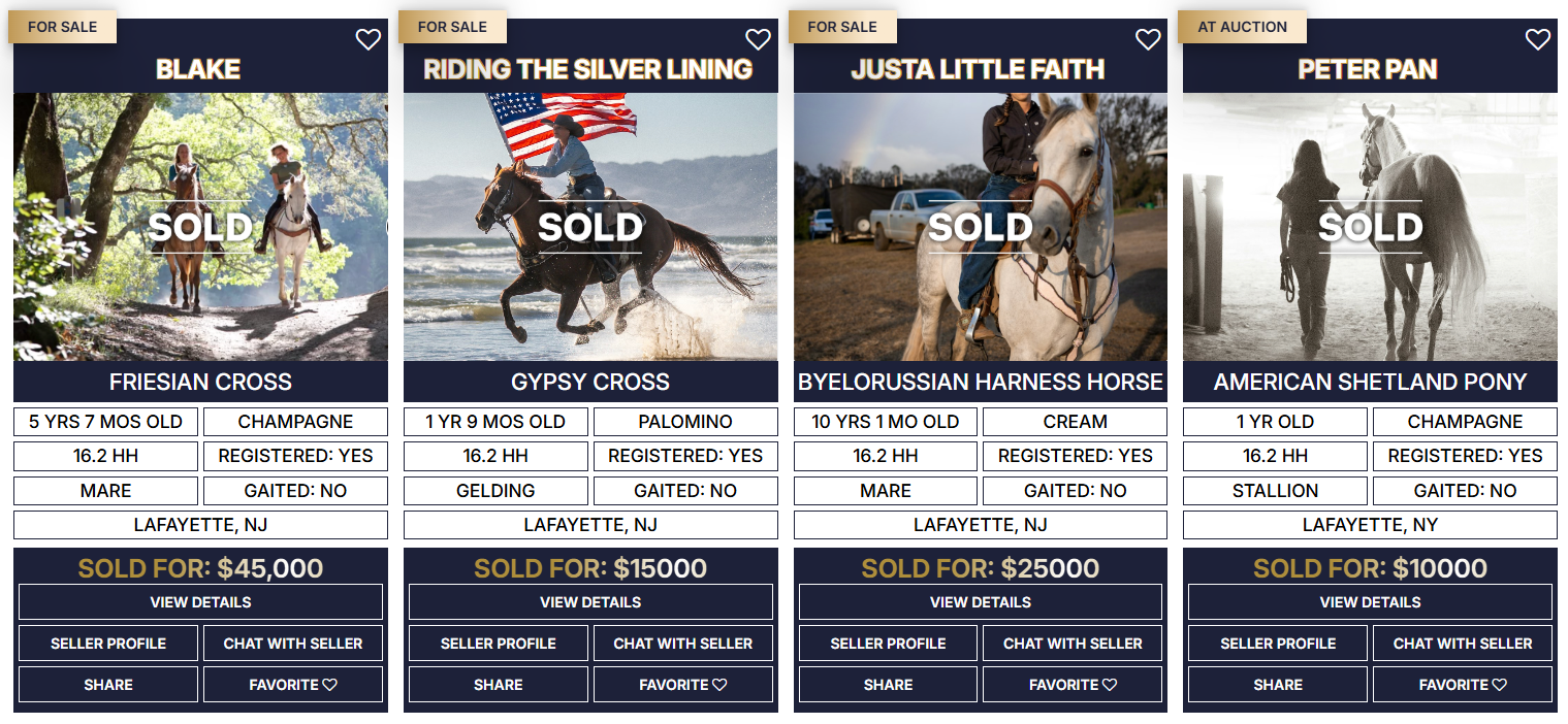 Horse listings preview placeholder